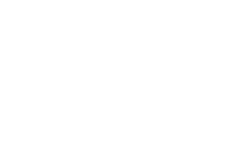 logo light