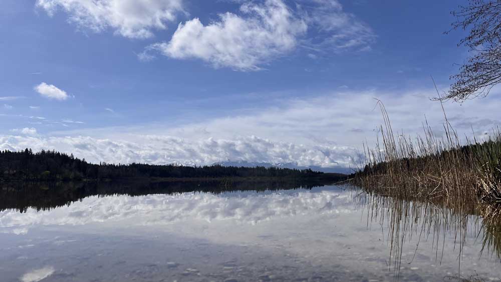 Wolkenspiegelung auf der ruhigen Wasserfläche des Hofstätter Sees mit Schilfgürtel im Chiemgau